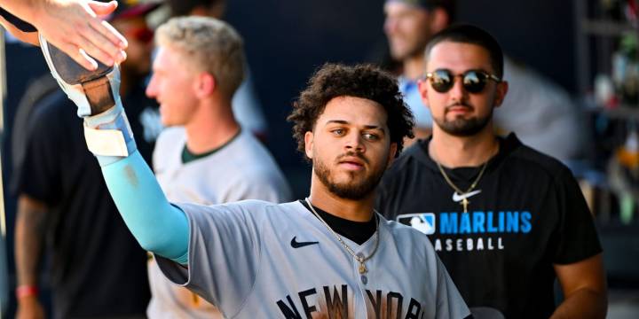 Yankees prospect Enmanuel Tejeda posts 5