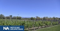 El Gobierno flexibilizó los controles en la industria vitivinícola