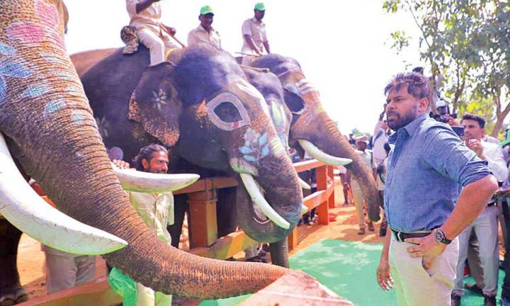 Pawan Kalyan calls for tighter human-elephant conflict control