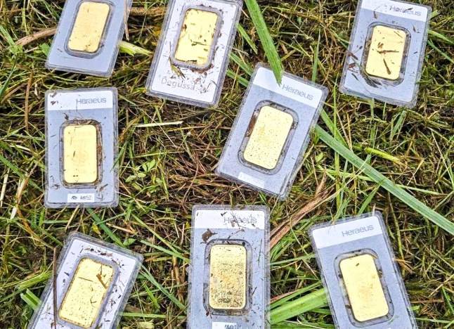 Man finds gold bars worth £26,500 while cutting the grass