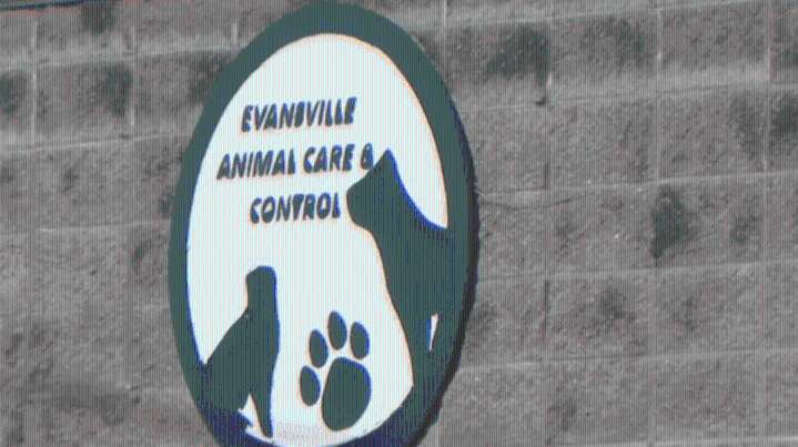 Police identify person of interest in Evansville dog theft