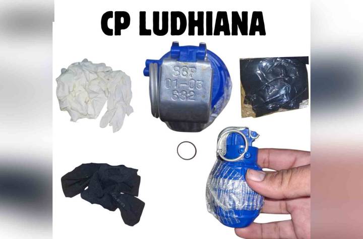 Grenade Attack Module Unearthed, 10 Held: Punjab Police