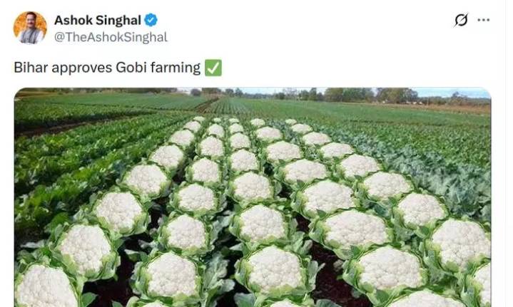 Use of 'gobi farming' imagery by Assam minister draws opposition...
