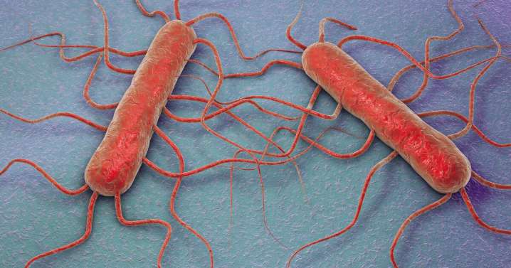 KDHE says 2-year-long tuberculosis outbreak in Kansas City, Kansas, is over