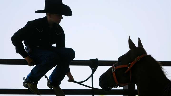 Multiple horse events canceled as EHV-1 virus spreads in Oklahoma