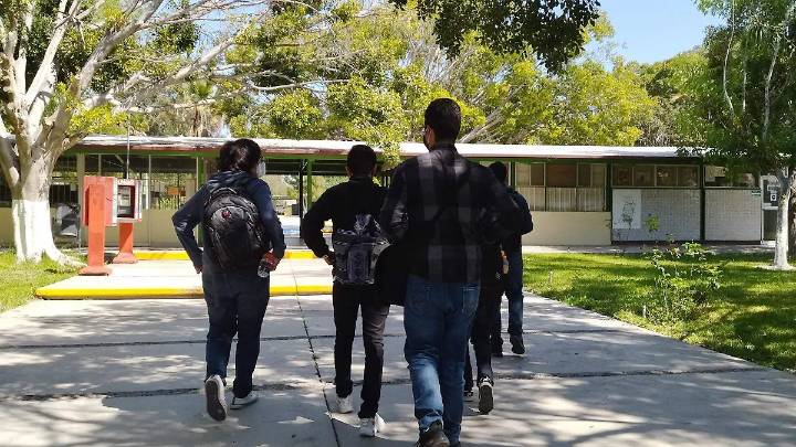 25% de estudiantes nivel secundaria consumen alcohol: Imcad