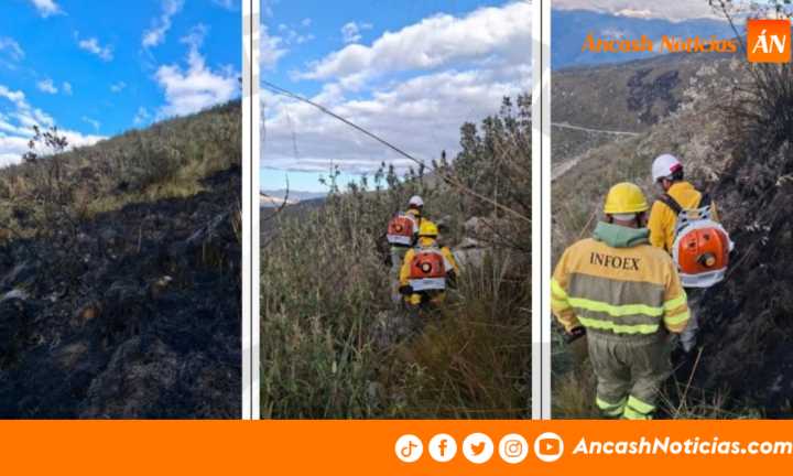 Independencia: incendio forestal destruye cuatro hectáreas de cobertura natural en la quebrada Llaca