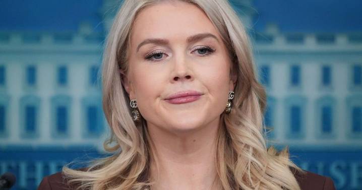 White House: Epstein emails ‘prove nothing’