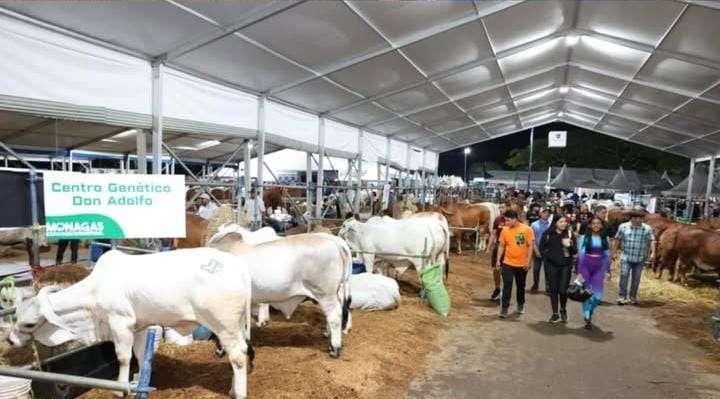 Monagas exhibe más 500 ejemplares en la Expo Agroindustrial 2025