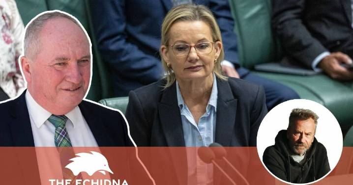 The Echidna | A climate position compatible with 3G, Windows 95