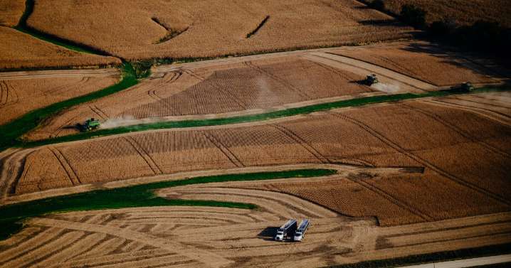 Congress extends critical Farm Bill for a third time. It's a relief for farmers, but raises concerns