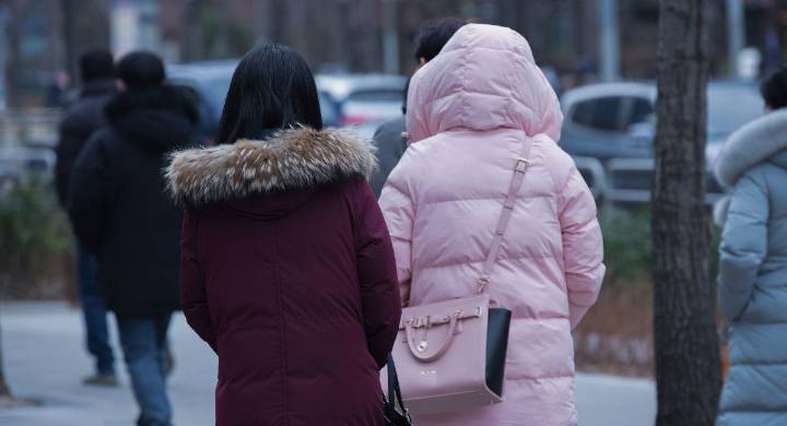 Frío extremo en Florida: el estado se prepara para temperaturas inéditas