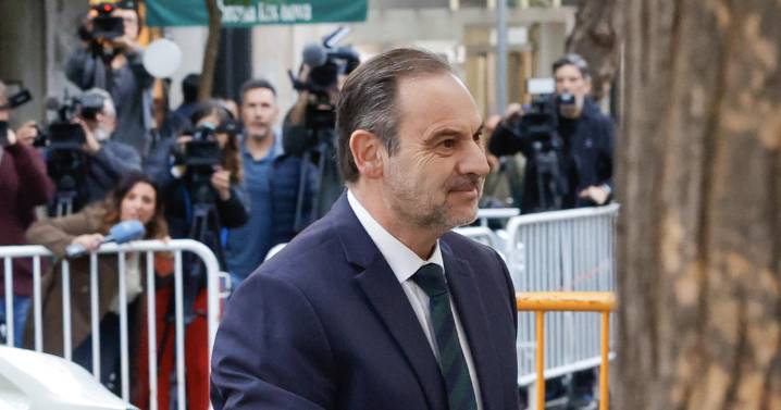 Ábalos pide personarse en la causa contra la fontanera del PSOE y que se investigue si maniobró contra él