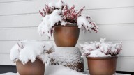 7 Tips & Tricks That Prevent Planters From Freezing During The Winter