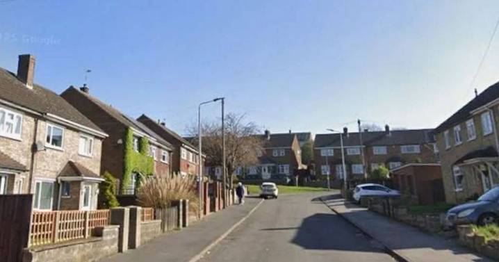 Mystery surrounds sudden death of boy, 6 as woman, 37 and girl, 17, arrested