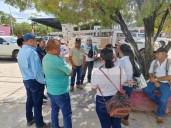 Despliegan brigadas para erradicar la plaga de la mosca prieta en José María Morelos