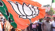 Bihar Results: NDA Wins 8 Out Of 9 Seats In Madhubani
