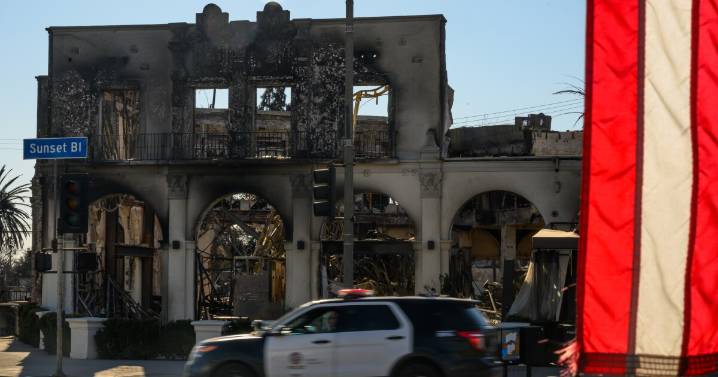 How much crime was there during the Palisades Fire? New report has numbers