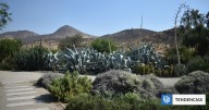 Jardín Botánico Quilapilún de Colina recibe certificado internacional como referente de conservación