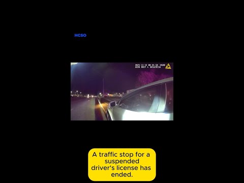 Traffic stop turns into drug bust in Hillsborough County