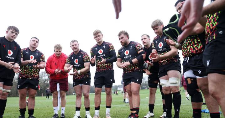 How to watch Wales v South Africa on TV for free