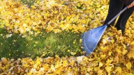 What Is A Leaf Burrito, And Do You Need One For Cleaning Up Fallen Leaves?