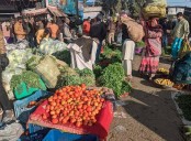 Indore News: Vegetable Prices Go North As Rain, Cold Hit Crops