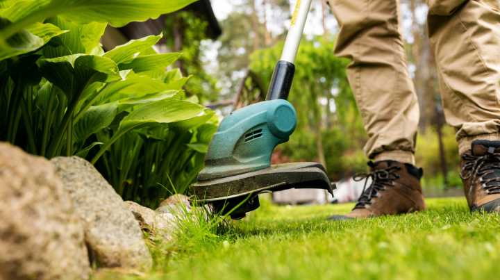 Here's The Best Battery-Operated String Trimmer You Can Buy, According To Consumer Reports