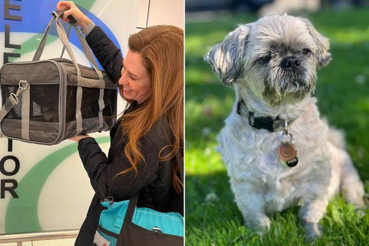 Woman Regrets Cloning Late Dog for $50K While Under 'Profound Grief' (Exclusive)