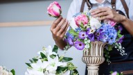 The Easy TikTok Trick That Revives Dingy Artificial Flowers In Minutes