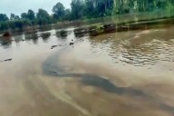 Congreso fortalece protección y compensación a afectados por derrames de hidrocarburos