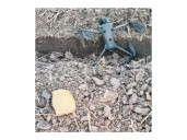 BSF Strikes Hard: 2 smugglers nabbed, drones, heroine seized