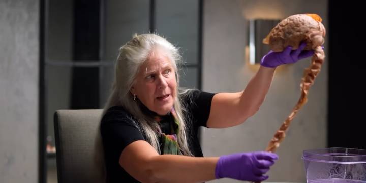 El asombroso viaje de una neurocientífica que renació tras una hemorragia cerebral y ahora enseña a dominar la mente