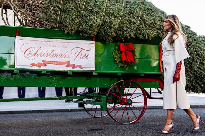 Melania Trump welcomes Christmas tree to the White House