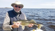 Slight decline in Lake of the Woods walleye abundance no cause for concern, DNR says