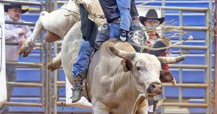 TOP COWBOYS AND COWGIRLS SADDLE UP FOR THE PRAIRIE CIRCUIT FINALS RODEO
