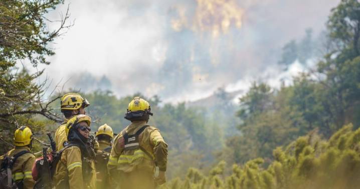Precaución ante la temporada de incendios: Neuquén aplicará multas récord por quemas en lugares no habilitados