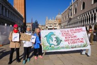 ‘Mimmo’ the dolphin delights Venice tourists, worries experts