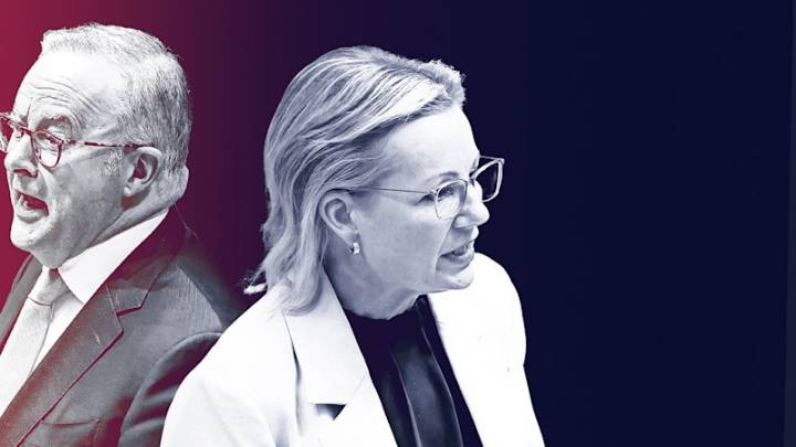 Voters don’t punish Liberals for infighting, but Albanese on notice over rising costs: poll