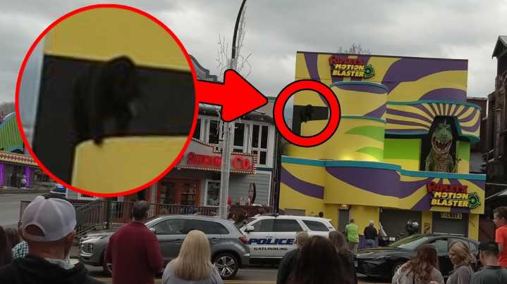 Black bear draws a crowd after getting stuck on a roof in downtown Gatlinburg