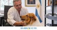 El ex presidente Fernández despidió a su perro Dylan: “Me regalaste una amistad que solo algunos humanos me han dado”