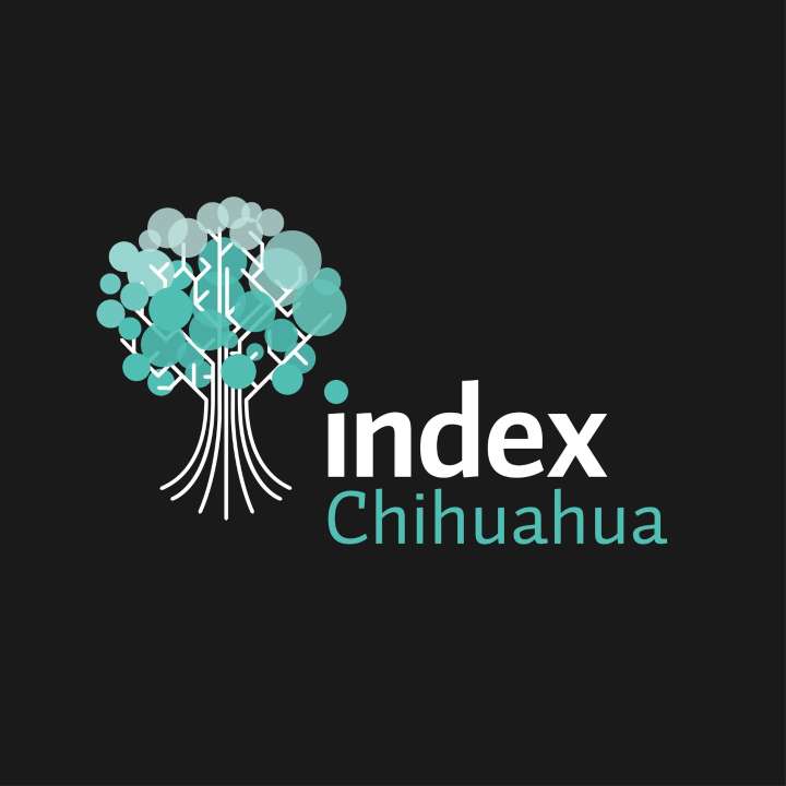 INDEX Chihuahua llama a elevar el nivel de diálogo y reforzar la conducción institucional ante las manifestaciones sociales