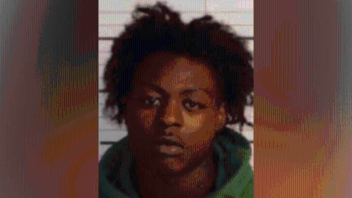 Task force nabs murder suspect, another charged with assault