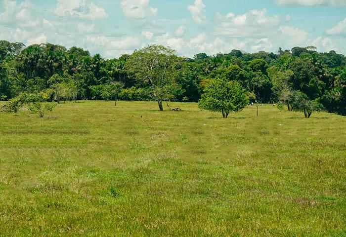 Unidad de Restitución de Tierras anuncia nueva opción de compensación para víctimas que viven en el exterior