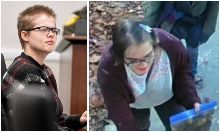 Woman who stabbed classmate for 'Slender Man' disappears