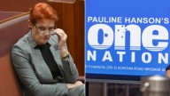 One Nation leader Pauline Hanson reveals party’s future amid name change, Barnaby Joyce uncertainty and Liberal free