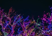 Indianápolis enciende la magia con Noches de Luces