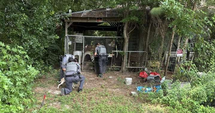 SC man admits to continued animal neglect charges