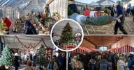 Raby Castle’s Christmas Market attracts bumper crowds