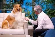 Triste momento para Alberto Fernández: Murió Dylan, el perro que lo acompañó durante toda su presidencia